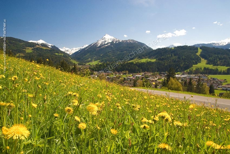 Fruehling