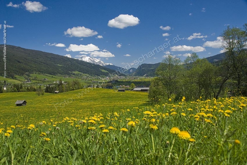 Fruehling