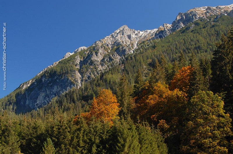 Herbst