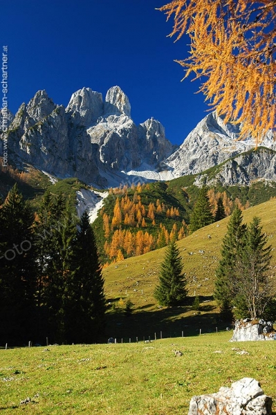Herbst