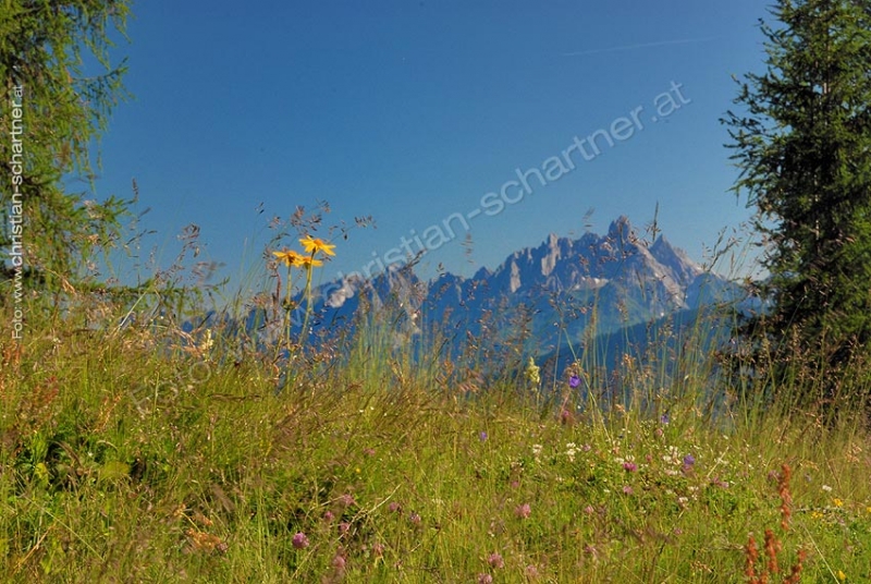 Sommer